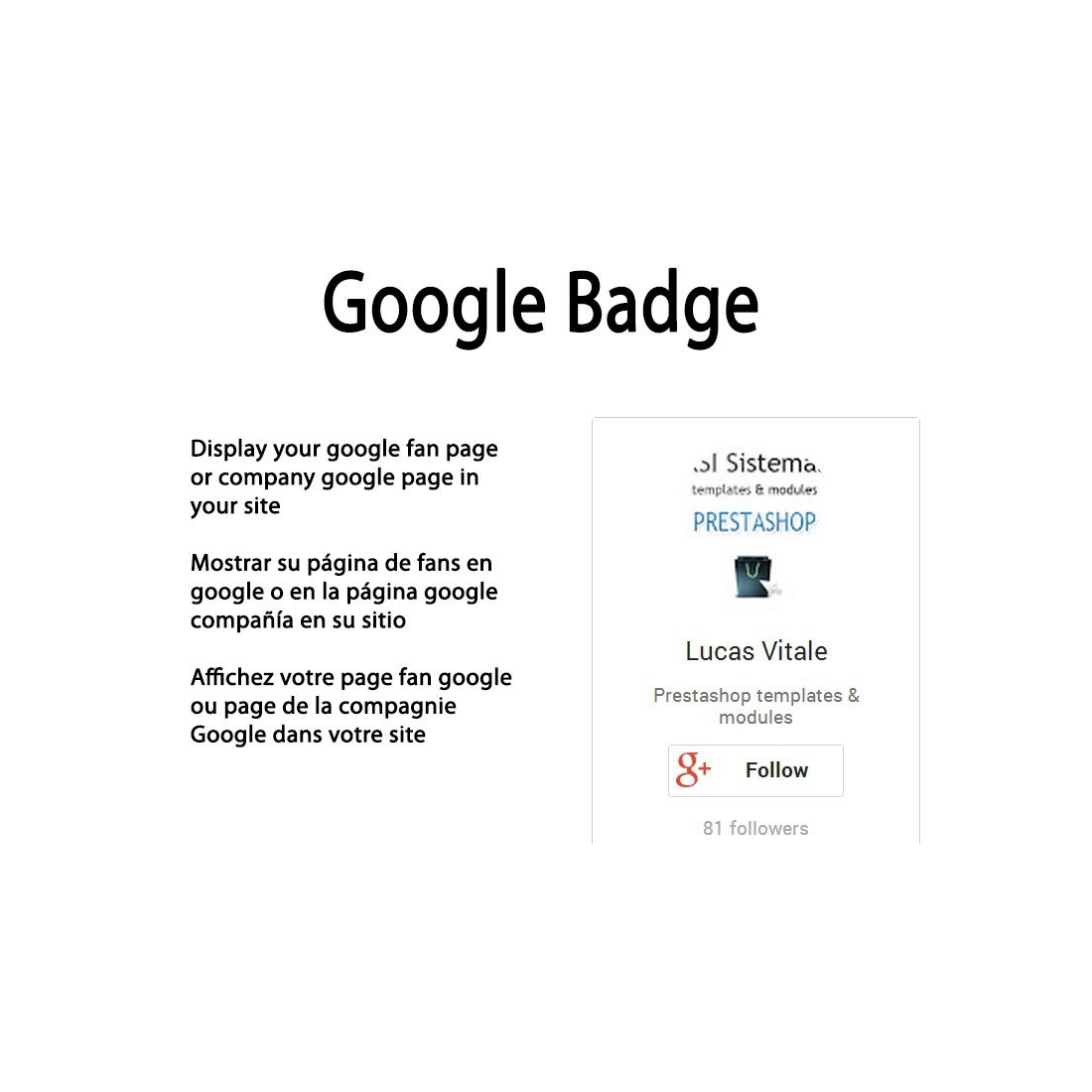 google-badge-prestashop-module.jpg