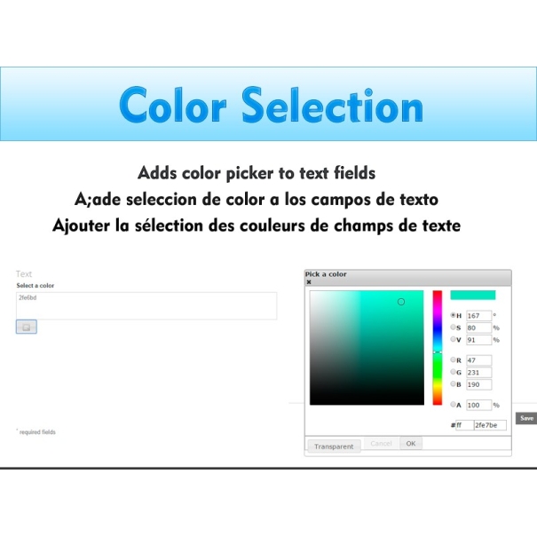 Color selection for text fields